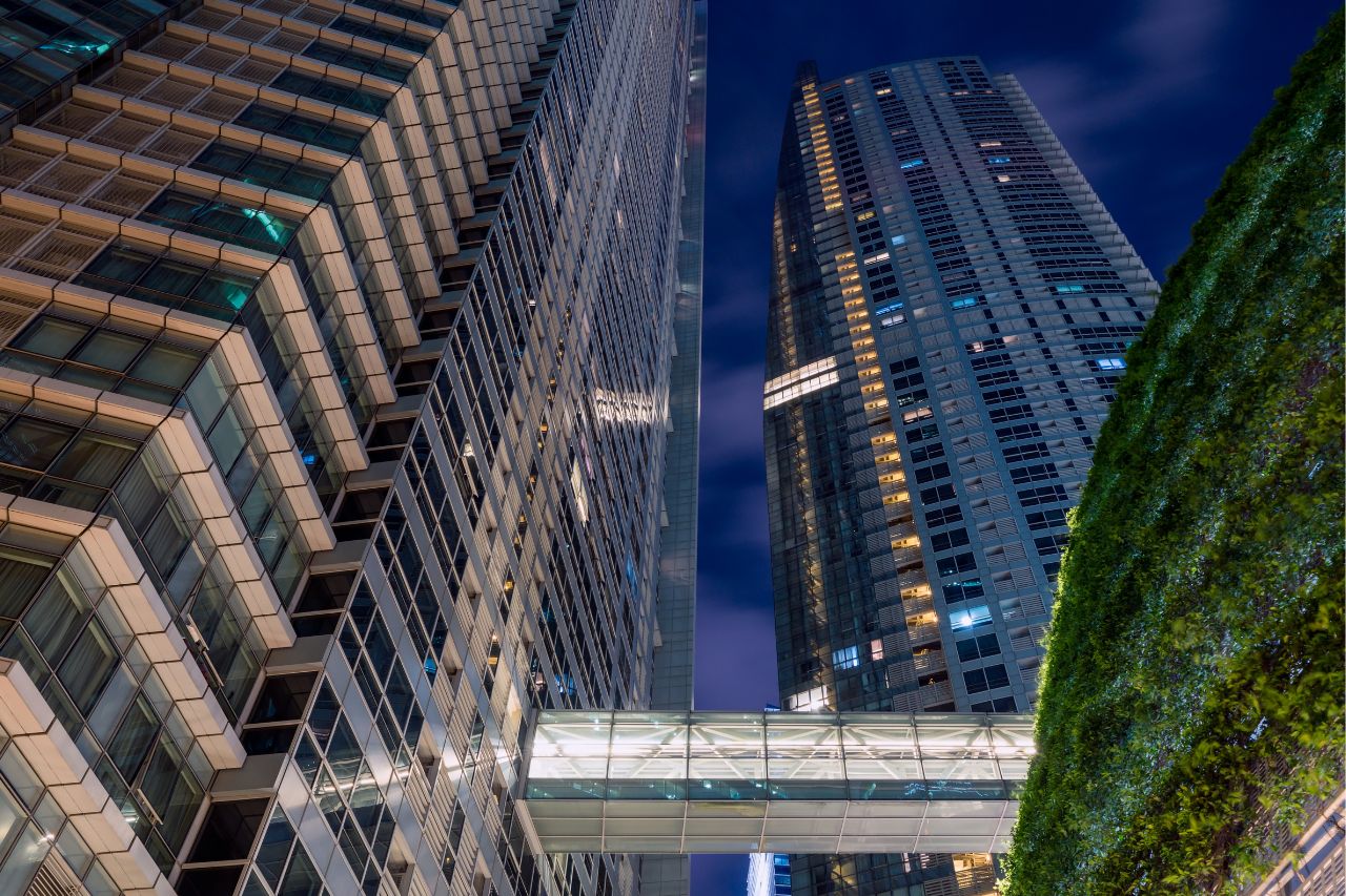 Compromiso de Bi Bank con la sostenibilidad en Panamá: trabajando juntos hacia un futuro más verde Compromiso de Bi Bank con la sostenibilidad en Panamá: trabajando juntos hacia un futuro más verde